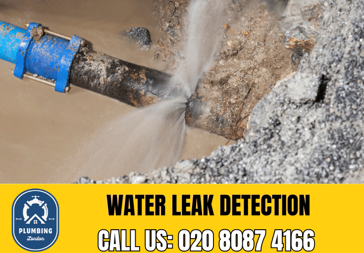 leak detection Chessington