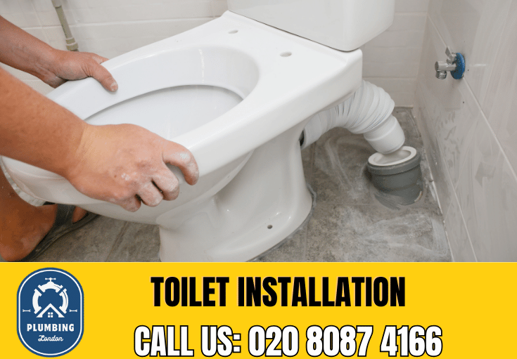 toilet fitters Chessington